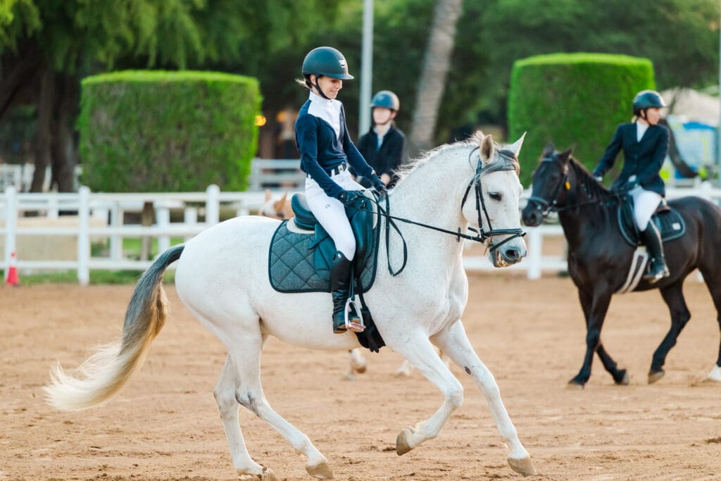 Dressage Abu Dhabi