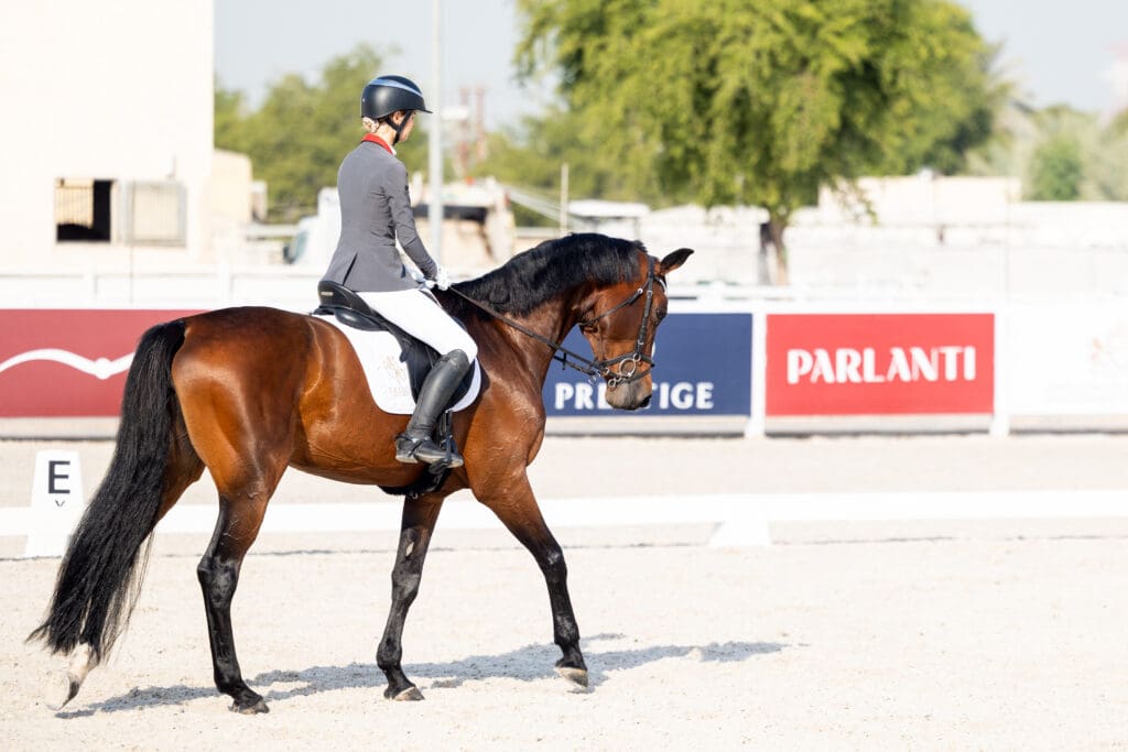 UAE dressage