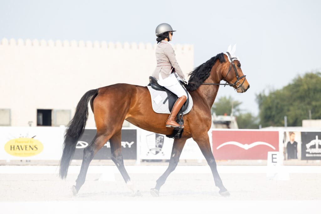 Dressage GCC