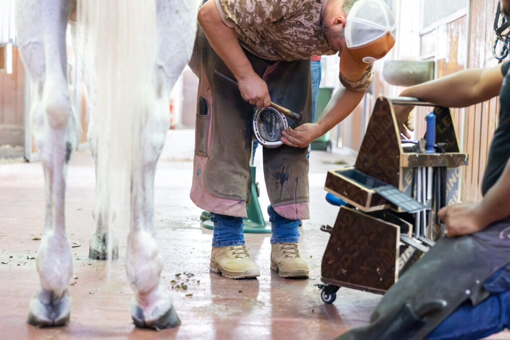 Horse Farrier