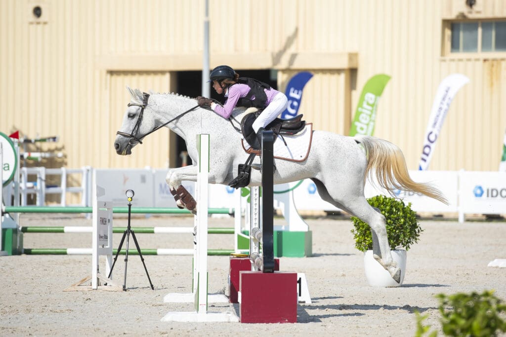 Horse jumping