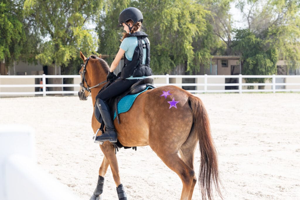 Equestrian photoshoot for Asayl marketing about stable management