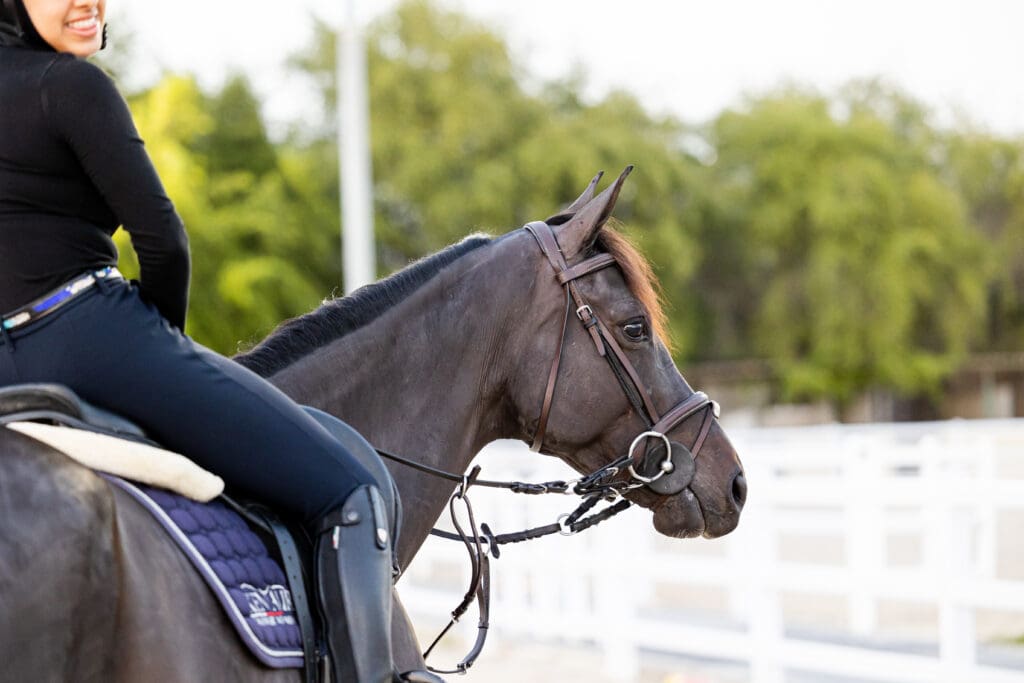 Equestrian photoshoot for Asayl marketing about stable management