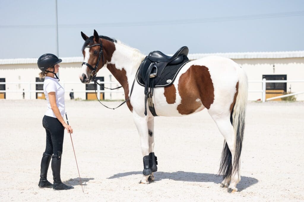 Equestrian photoshoot for Asayl marketing about stable management